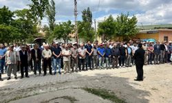 Kene ısırması sonucu 1 kişi hayatını kaybetti
