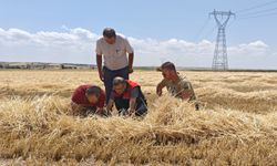 Tarım ekiplerinden biçerdöverlere sıkı denetim