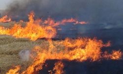 İfaiyesinden tarla yangınları için uyarı