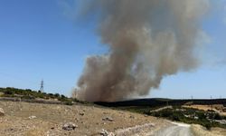 Tarım arazisinde başlayan yangın ormanlık alana sıçradı