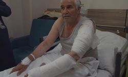 Tarlada ot biçen vatandaşa kurt saldırdı