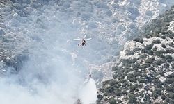 Orman yangınına havadan ve karadan müdahale