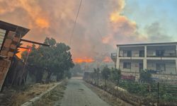 Çöpten çıkan yangın ormanı küle çevirdi