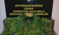 Baskın yapılan ev uyuşturucu serası çıktı