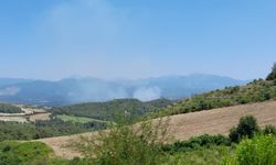 Yangın felaketi iki ili sardı