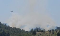 Ormanda çıkan yangın kontrol altına alındı