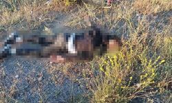 Motosiklet kontrolden çıktı, sürücü ağır yaralandı