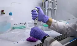 Türk bilim insanları  ölümcül enfeksiyonlara karşı yeni antibiyotik geliştirdi