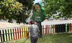 Kenelere karşı ilaçlama seferberliği