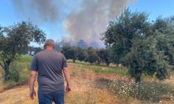 Ormanlık alanda yangın