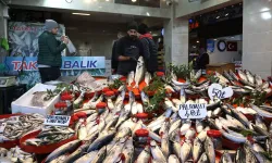 Balıkçı tezgahlarında bolluk yaşanıyor