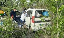 Ağaca çarpan otomobildeki 3 kişi yaralandı