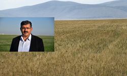 Konya Ovasında kurak arazilerde alarm!