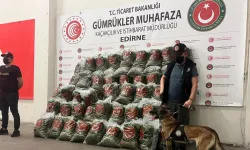 4 ilde çok sayıda kaçak eşya ve yüklü miktarda uyuşturucu ele geçirdi