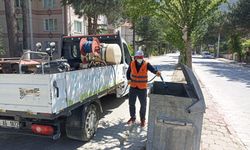 Sinek mücadelesi başladı
