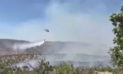 Orman ve örtü yangını kontrol altına alındı