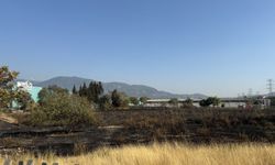 Otluk alandaki yangın söndürüldü