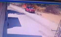 Orman yangınının çıkış anı görüntüsü ortaya çıktı