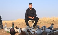 4 ayaklı doğmuştu, 2 gün yaşayabildi