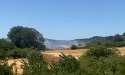 Orman yangınına havadan müdahale sürüyor