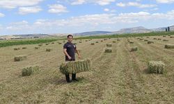Konya'da hibe desteği verilen yerlerde hasat sürüyor