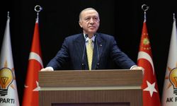 Cumhurbaşkanı Erdoğan'dan karikatüre sert tepki