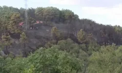 Kent ormanında çıkan yangın kontrol altına alındı