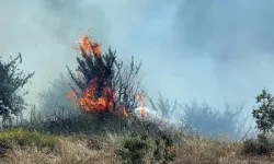 Orman yangını kontrol altına alındı