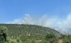 Arazide çıkan yangına müdahale sürüyor