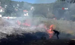Otluk alanda çıkan yangın söndürüldü