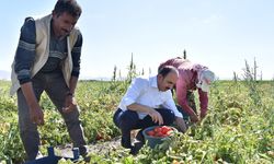 Konya'da çiftçiye destek! 31 ilçede başvurular başladı