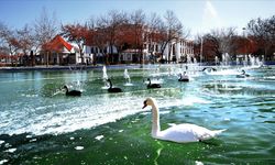 Konya'da sıcaklıklar ne kadar artacak? Yarın hava nasıl olacak