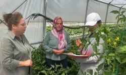 KOP Seracılık Projesi başvuruları başladı