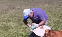 Nedir bu yetiştiricinin çektiği?