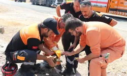 Alevlerin arasında mucize kurtuluş