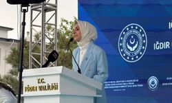 'Aile Yılı'nda sosyal hizmet modelleri yaygınlaşacak'