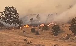 Yangının adresi bu kez komşu şehir!