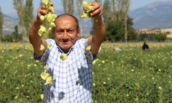 Konyalılar tarafından en çok tüketilen yemeğe rakip çıktı!