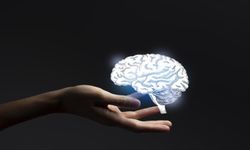 Beyin bariyeri Alzheimer'a kapı mı açıyor?