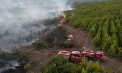 Osmaniye'den acı haber: Orman işçisi hayatını kaybetti