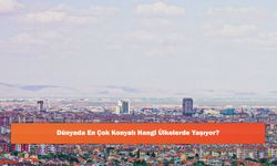 Dünyada En Çok Konyalı Hangi Ülkelerde Yaşıyor?