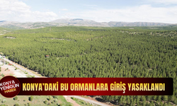 Konya'daki ormanlara giriş yasaklandı