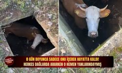 8 gün boyunca sadece onu i̇çerek hayatta kaldı! Herkes dağlarda ararken o hemen yanlarındaymış