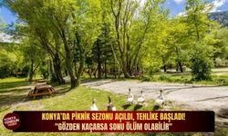 Konya’da piknik sezonu açıldı, tehlike başladı: "Gözden kaçarsa sonu ölüm olabilir"