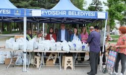 Konya’da büyük tarım hamlesi: 500 bin sebze fidesi toprakla buluşuyor!