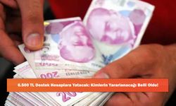 6.500 TL Destek Hesaplara Yatacak: Kimlerin Yararlanacağı Belli Oldu!
