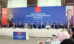 Sokak hayvanları düzenlemesinde son durum: Konya’da tamamı barınaklara alındı!