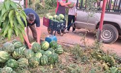 Antalya’dan toplanan tonlarca mahsul, Konya’daki yurtlara dağıtıldı
