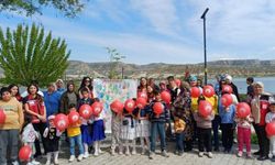 Milli aile haftasın 'da 81 ilde 4 bin 973 etkinlik düzenlendi