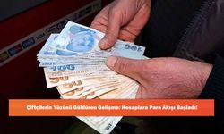 Çiftçilerin Yüzünü Güldüren Gelişme: Hesaplara Para Akışı Başladı!